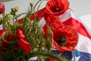 Crimson poppies sway beside a radiant American flag, reflecting Remembrance Days poignant embrace and Independence Days spirited zest photo