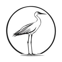 Avocet Stock Illustrations on white background. vector