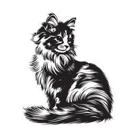 Black and white Lovely Fluffy Cat Image Isolated on white Background vector