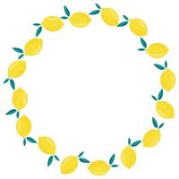 Bright summer frame with juicy lemons on a white background vector