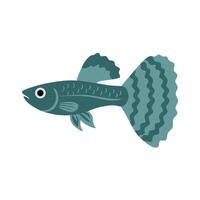 A dark teal guppy illustration with bold tail patterns and clean style, ideal for aquatic designs, branding, kids books, or nature-inspired graphics. vector