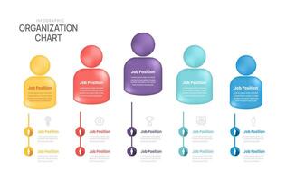 organization chart Infographic template with business avatar icons. vector