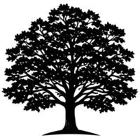 Majestic deciduous tree silhouette against a stark white backdrop black vector