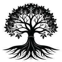 Black silhouette of a deciduous tree with fruit and roots white nature vector