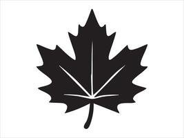 Black silhouette of maple leaf isolated on white background, graphic illustration. concept of nature, autumn symbol, botanical icon, canadian emblem, design element vector