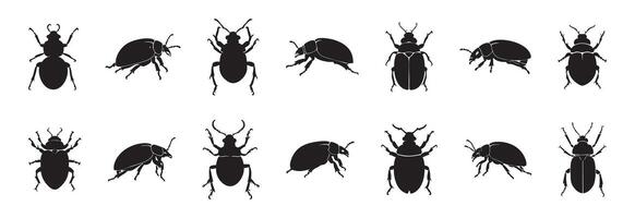 Set of Black silhouette of various beetles isolated on white background, graphic illustration. concept of insects, bug icons, entomology study, design element for decor and print. vector