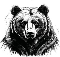illustration of a bear on a white background vector