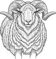 line art drawing of a sheep detail white background with horns vector