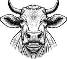 cow face image smile teeth line art style white background vector