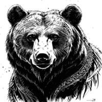 a bear on a white background vector