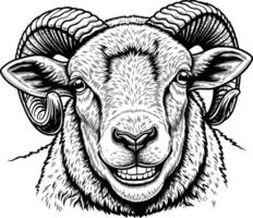 line art drawing of sheep detail white background fat sheep vector
