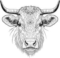 image of a thin-haired bull face facing forward in line art style white background vector