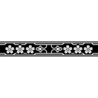 Elegant Floral Border on Gradiated Background vector