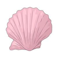 Pink Clam Shell vector