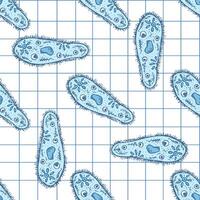 Hand drawn vintage seamless pattern of blue paramecium microorganisms on grid notebook background, science illustration vector