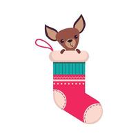Funny Small Dog Sitting in Sock, Symbol of Xmas and New Year, Happy Winter Holidays Concept Cartoon Style Illustration vector