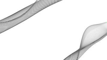 Spectrum two waves black color line on white background video