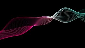 Spectrum waves lines colorful on black color background video