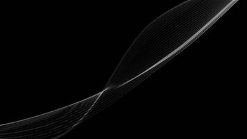 Spectrum waves white line color on black background video