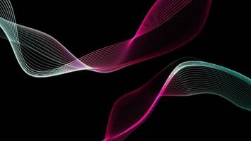 Spectrum two waves line colorful on black background video