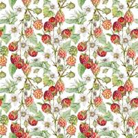 Colorful raspberry floral pattern design vector