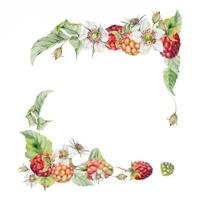 Watercolor raspberry frame with flowers vector