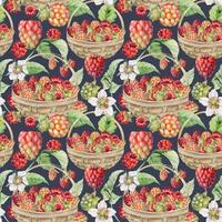 Raspberry basket pattern illustration vector