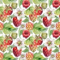 floral pattern with raspberries and strawberries vector