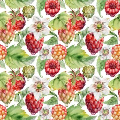 Raspberry cloudberry mulberry ripe garden berries, flowers in water dew drops hand drawn in watercolor. Seamless isolated pattern tile. Home preserves, textile linens, food store decor, packaging