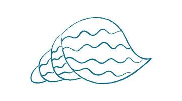 Chalk seashell doodle. Crayon shell illustration. Marine life in the ocean, underwater aquatic scene, unique texture. Ideal for summer projects and aquatic graphic design. vector