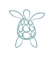 Chalk turtle silhouette. Aquatic marine creature in the ocean. Underwater doodle style, flat design, suitable for educational material or decor in aquariums. vector