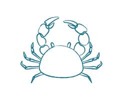 Crab silhouette in chalk style. Marine creature in underwater ocean. Doodle visual style, potential for use aquariums or educational materials. vector