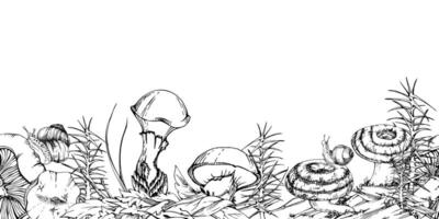 Milk-cap russula suillus larch bolete slippery jack mushrooms, snail on cap, horsetail plant on bark with moss lichen growth. Seamless banner header hand drawn in ink. Autumn forest floor scene vector