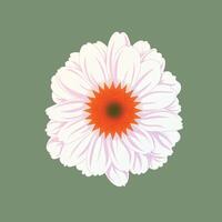 Elegant illustration of a white daisy flower with a vibrant orange center on green background. Perfect for nature, floral, botanical, summer, and decorative design themes in various creative projects. vector