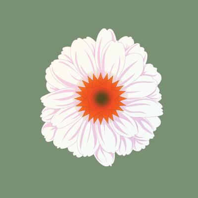 Elegant illustration of a white daisy flower with a vibrant orange center on green background. Perfect for nature, floral, botanical, summer, and decorative design themes in various creative projects.