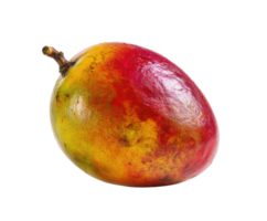 Ripe mango with vibrant colors for culinary use png