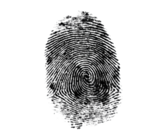 Unique fingerprint design for security and identification needs png