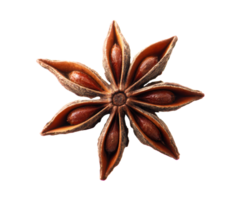 Star anise spice on a white background for culinary uses png