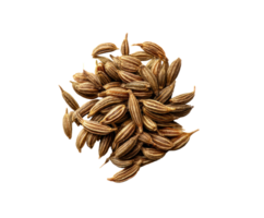 Cumin seeds for culinary use in home cooking and seasoning png