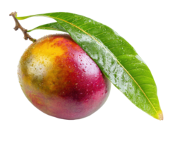 Fresh and juicy mango with dew drops and green leaves png