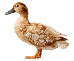 Decorative embroidered duck with floral patterns for design png