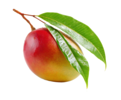 Fresh mango with green leaves on a natural background png