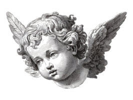 Cherubic angel head with detailed features and soft curls png