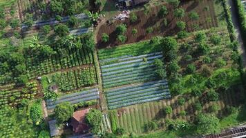 Aerial view of farm fields and garden plots with a rural house video