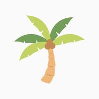 a palm tree with a green leaf on it vector