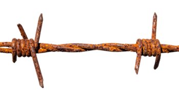 A section of rusty barbed wire isolated on transparent background png