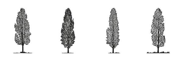 Tall Trees Silhouette Set. Landscape And Architectural Elevation Design Collection. Nature-Inspired And Urban Planning. Isolated Illustration vector