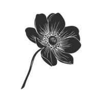 Silhouette Of A Blooming Flower With Detailed Petals. Nature'S Elegance And Simplicity Isolated Illustration vector
