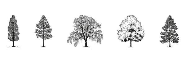 Monochrome Tree Silhouettes Side View Set. Landscape Architecture And Urban Green Space Design Collection. Isolated Illustration vector