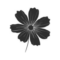 Black Cosmos Flower Silhouette Illustration. Elegant Floral Design For Nature And Botanical Themes. Isolated Illustration vector